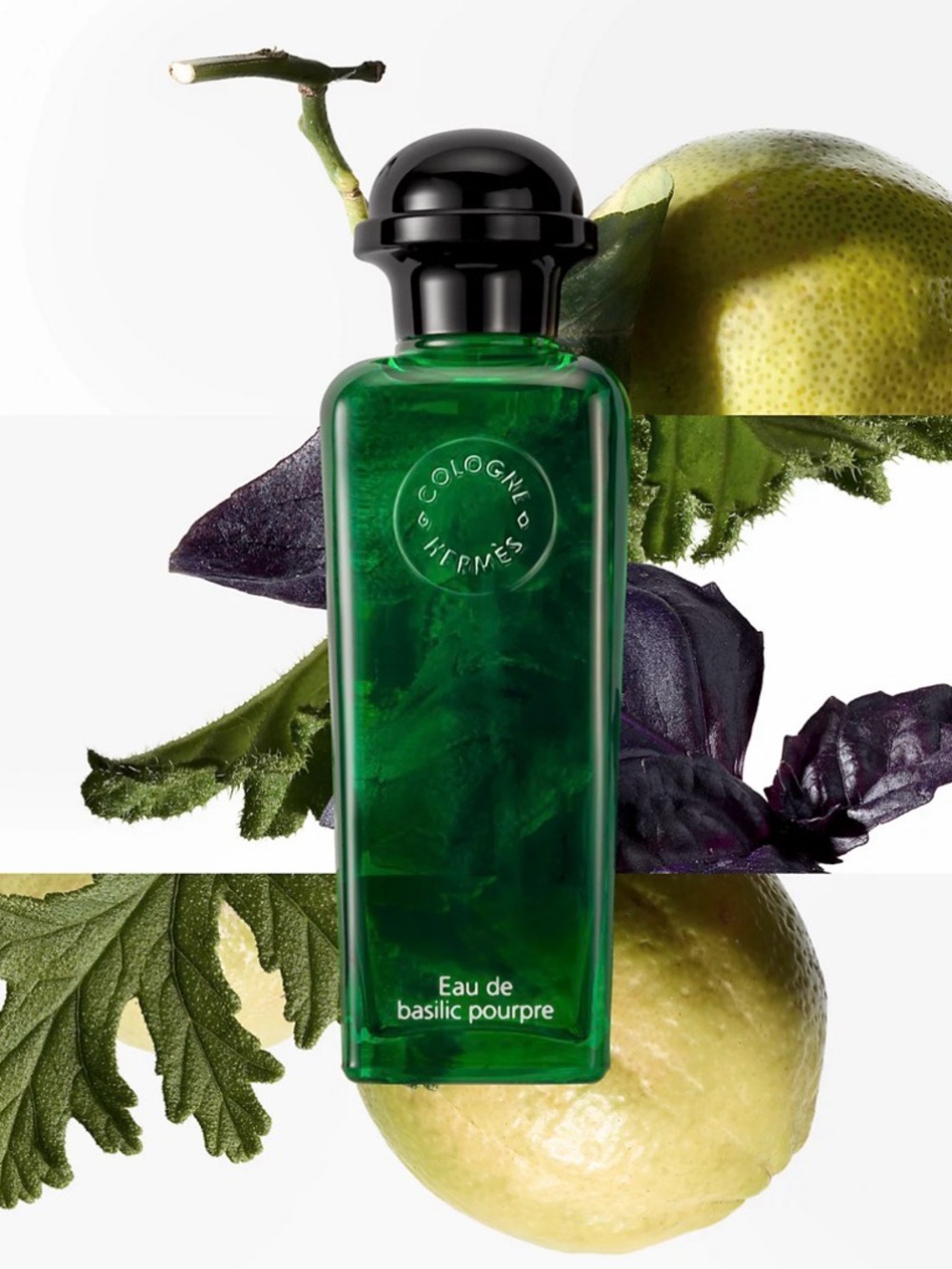 HERMÈS Eau de basilic pourpre Cologne Spray